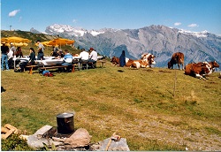 verbier-2-barrier.jpg